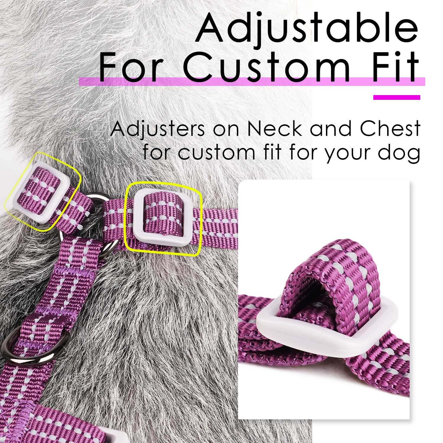 ThinkPet reflective trim improves night visibility for safer adventures.