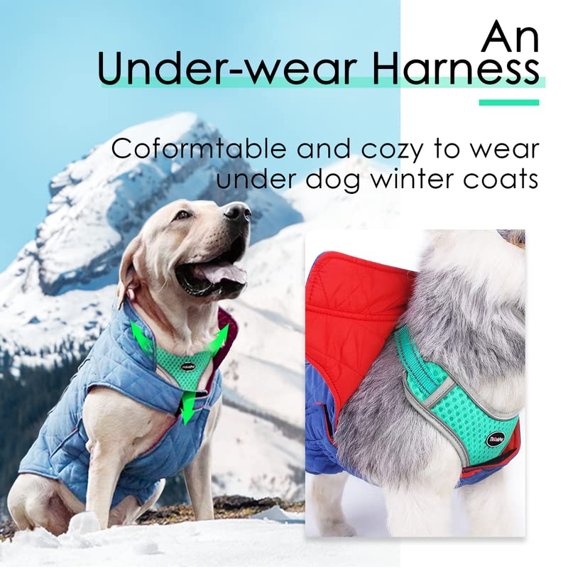 ThinkPet teal harness demonstrates versatile use for small to medium pets.
