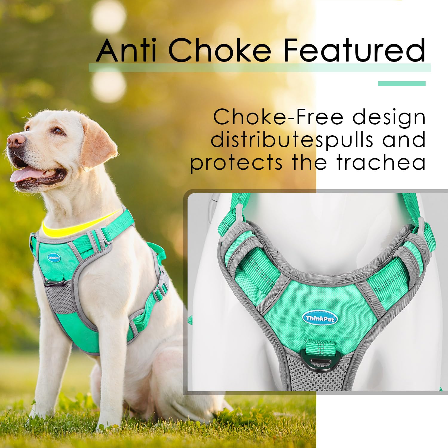 ThinkPet teal harness worn by dogs during everyday walks