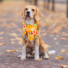 THLOH durable color-fast fabric keeps colors vibrant after washes.
