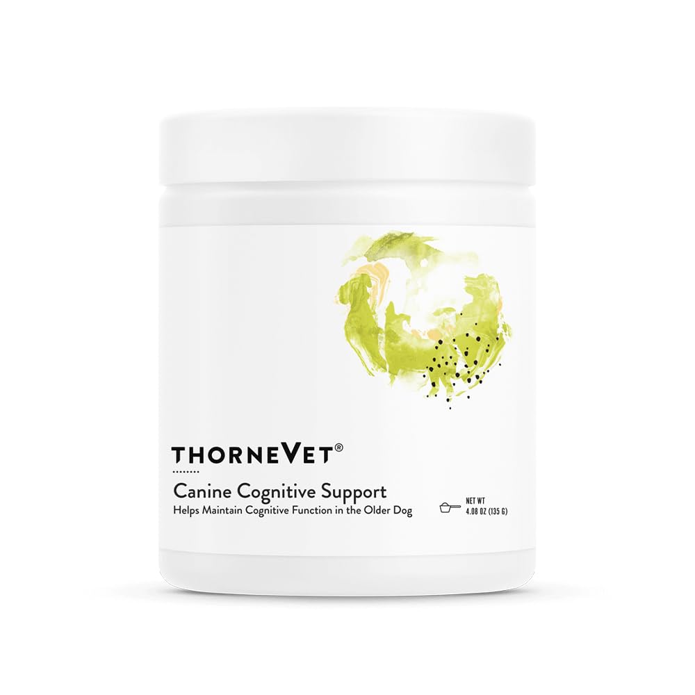 ThorneVet Canine Cognitive Support Powder bottle highlights brain-health support for aging dogs.