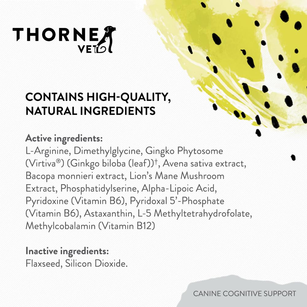 ThorneVet Canine Cognitive Support powder bowl mix adds flavor-friendly brain health boost.