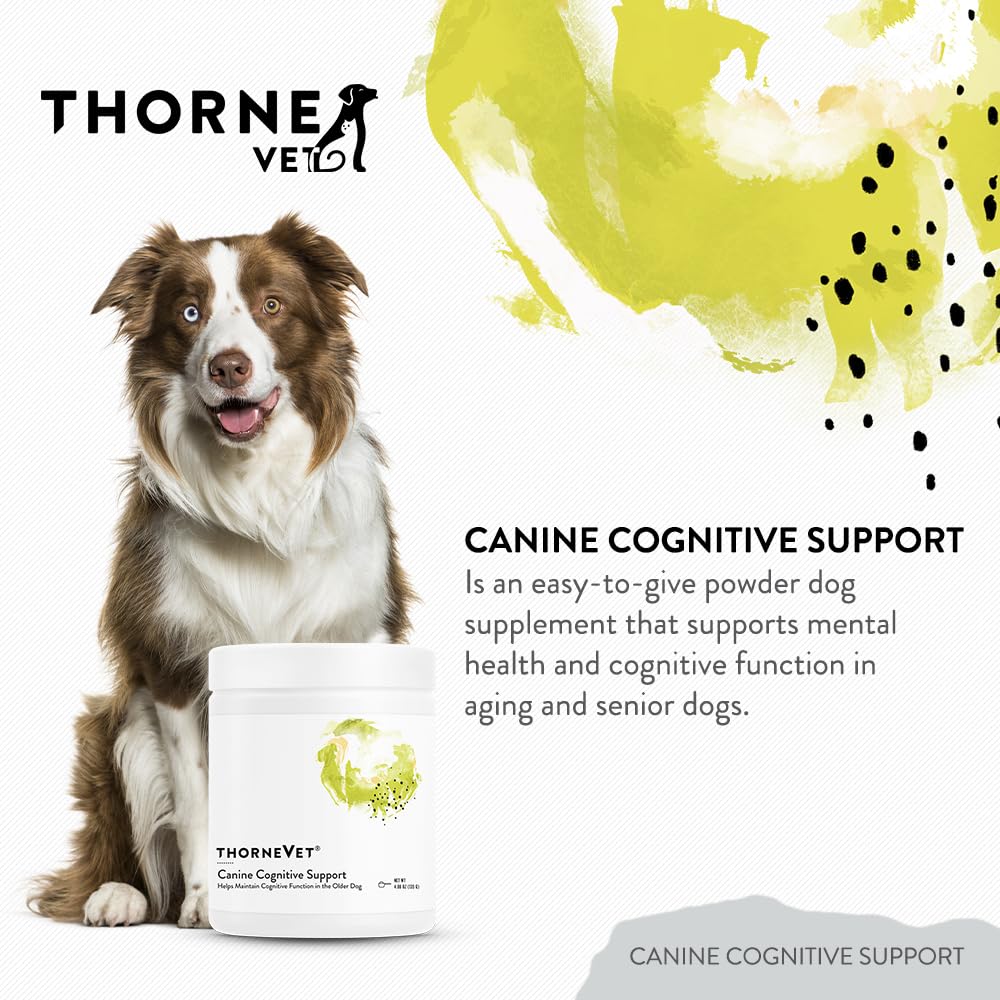 ThorneVet Canine Cognitive Support powder container label emphasizes science-based veterinary formula.