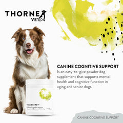 ThorneVet Canine Cognitive Support powder container label emphasizes science-based veterinary formula.