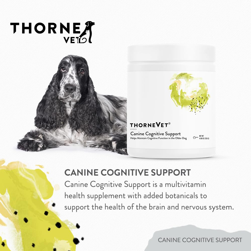 ThorneVet Canine Cognitive Support powder dog meal mixing demonstrates easy daily administration.