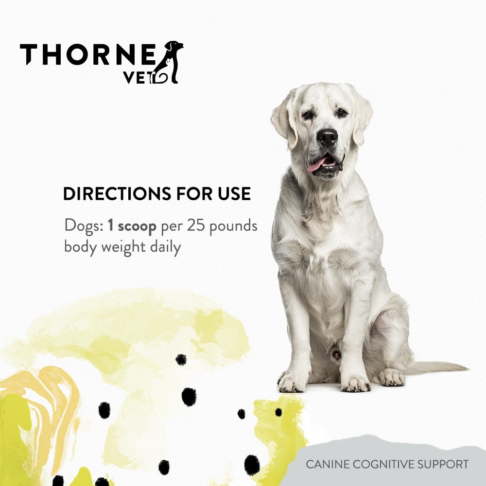 ThorneVet ingredients closeup reveals amino acids and antioxidants supporting brain health.