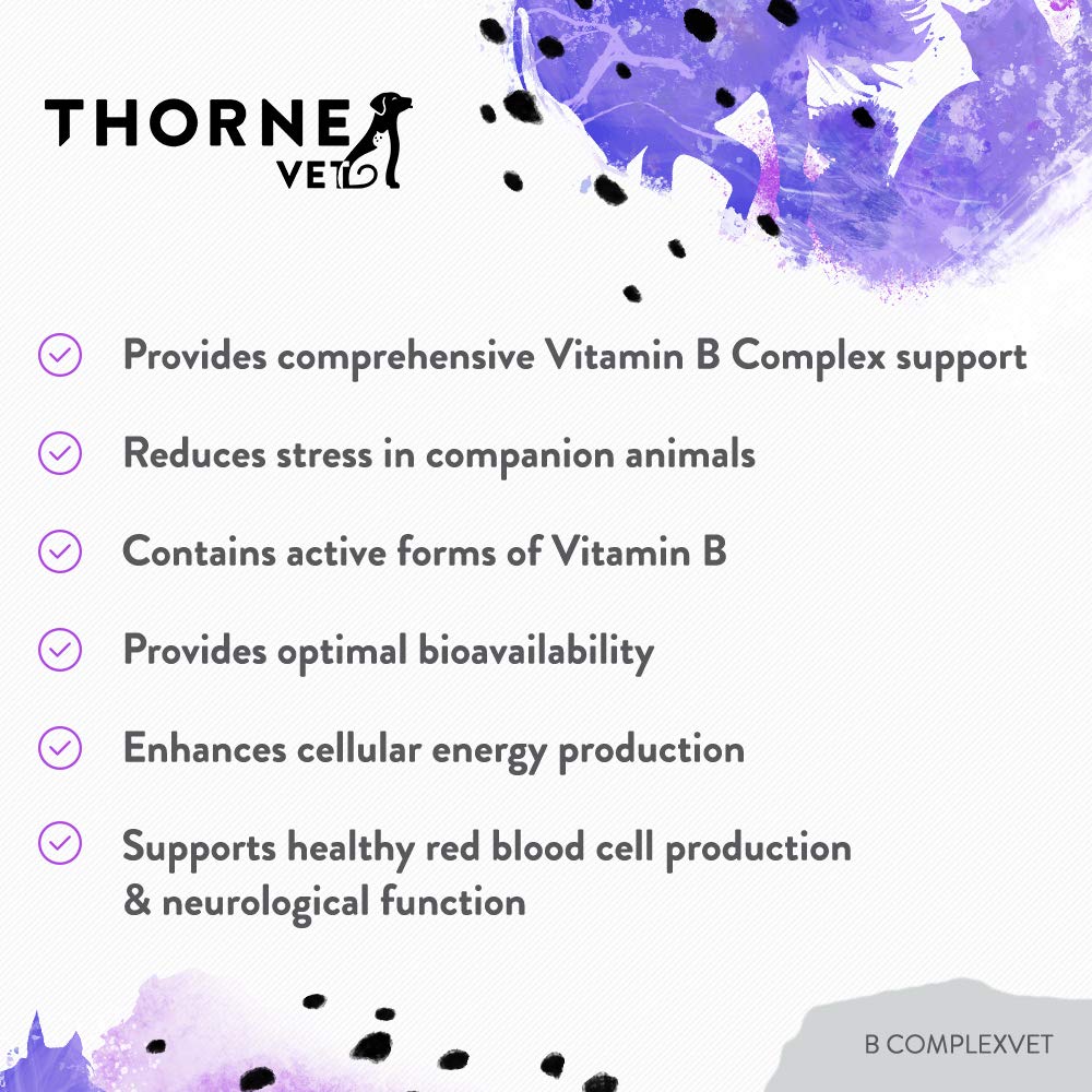 ThorneVET B ComplexVET label emphasizes digestibility and absorption support.