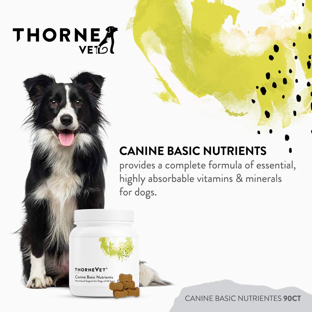 ThorneVET Canine Basic Nutrients bottle label closeup signals a comprehensive vitamin and mineral profile supporting dog health.