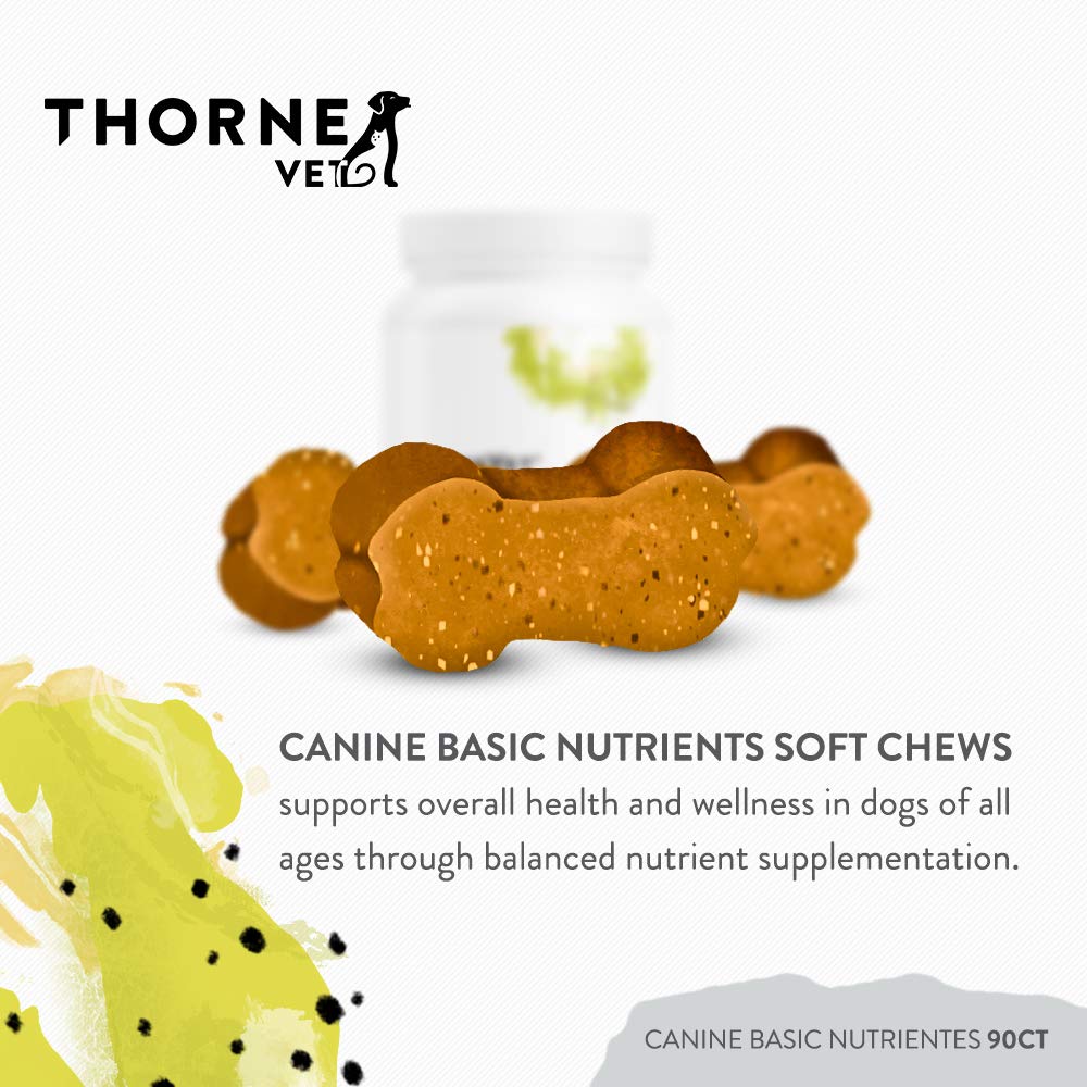 ThorneVET Canine Basic Nutrients dog eating soft chews demonstrates easy daily supplementation for balanced nutrition.