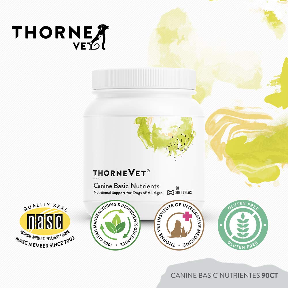 ThorneVET Canine Basic Nutrients soft chews texture closeup highlights palatable form for consistent intake.