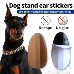 THOUDONER dog ear stand durable material close-up for long-lasting use