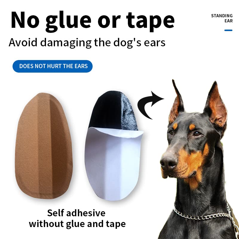 THOUDONER dog ear stand indoors and outdoors usage for versatile grooming