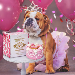 Thoughtfully Pets hand-decorated biscuit cake on display adds charming party flair