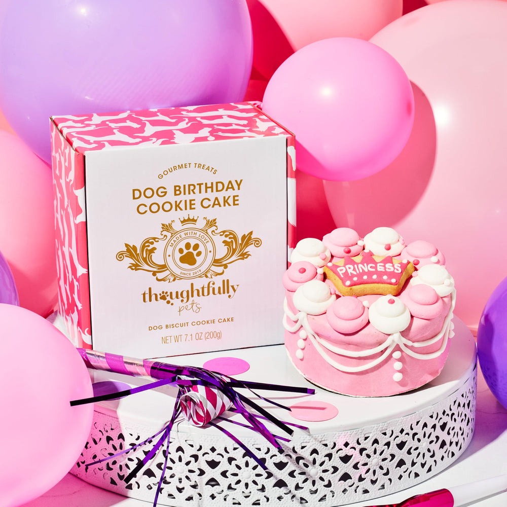 Thoughtfully Pets party setup with cake slices ready for dogs to enjoy
