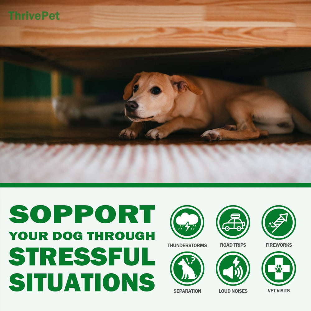 ThrivePet calming chews ingredients close-up showing natural, vet-friendly formulation.