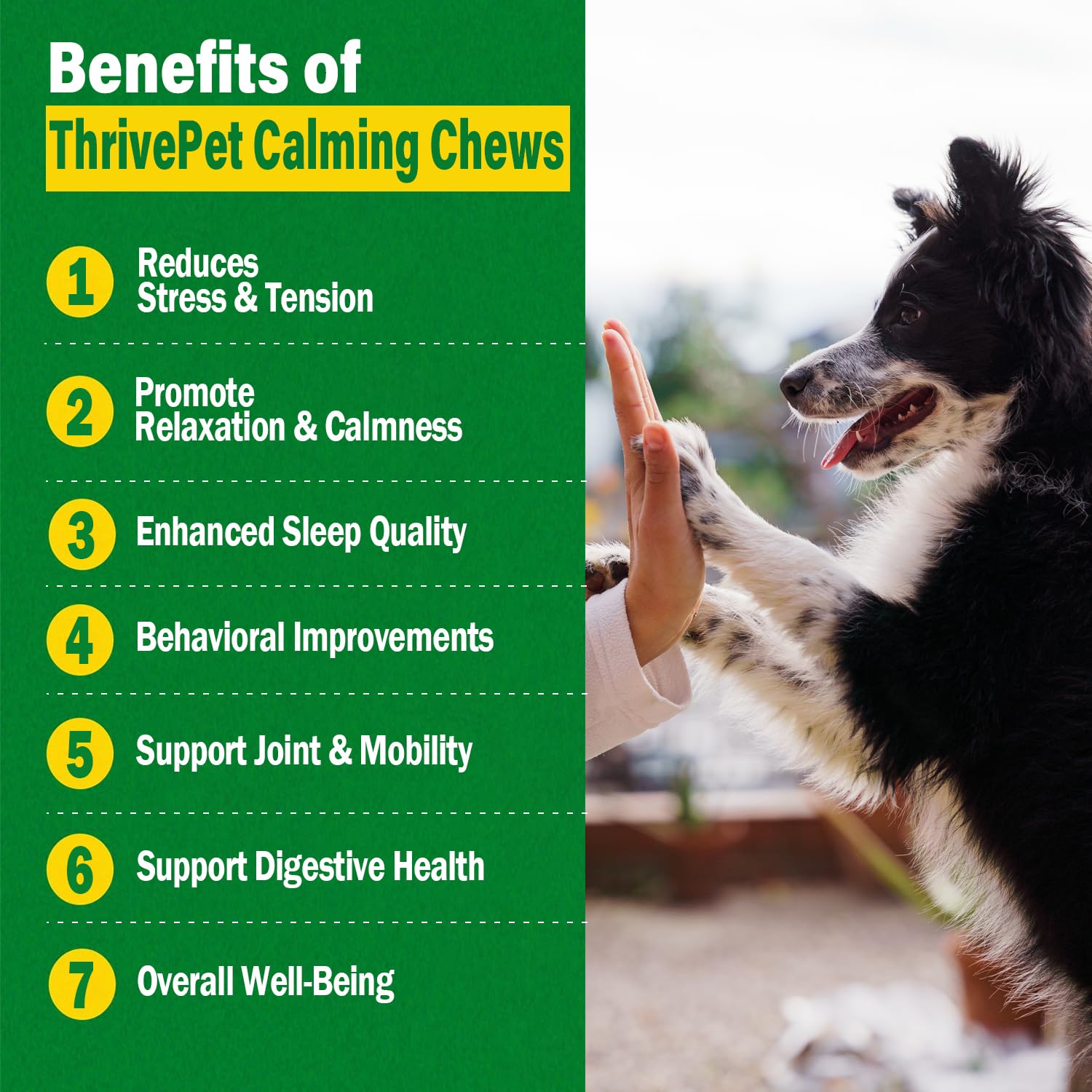 ThrivePet duck-flavor dog treats foil pack ready for on-the-go calming support.