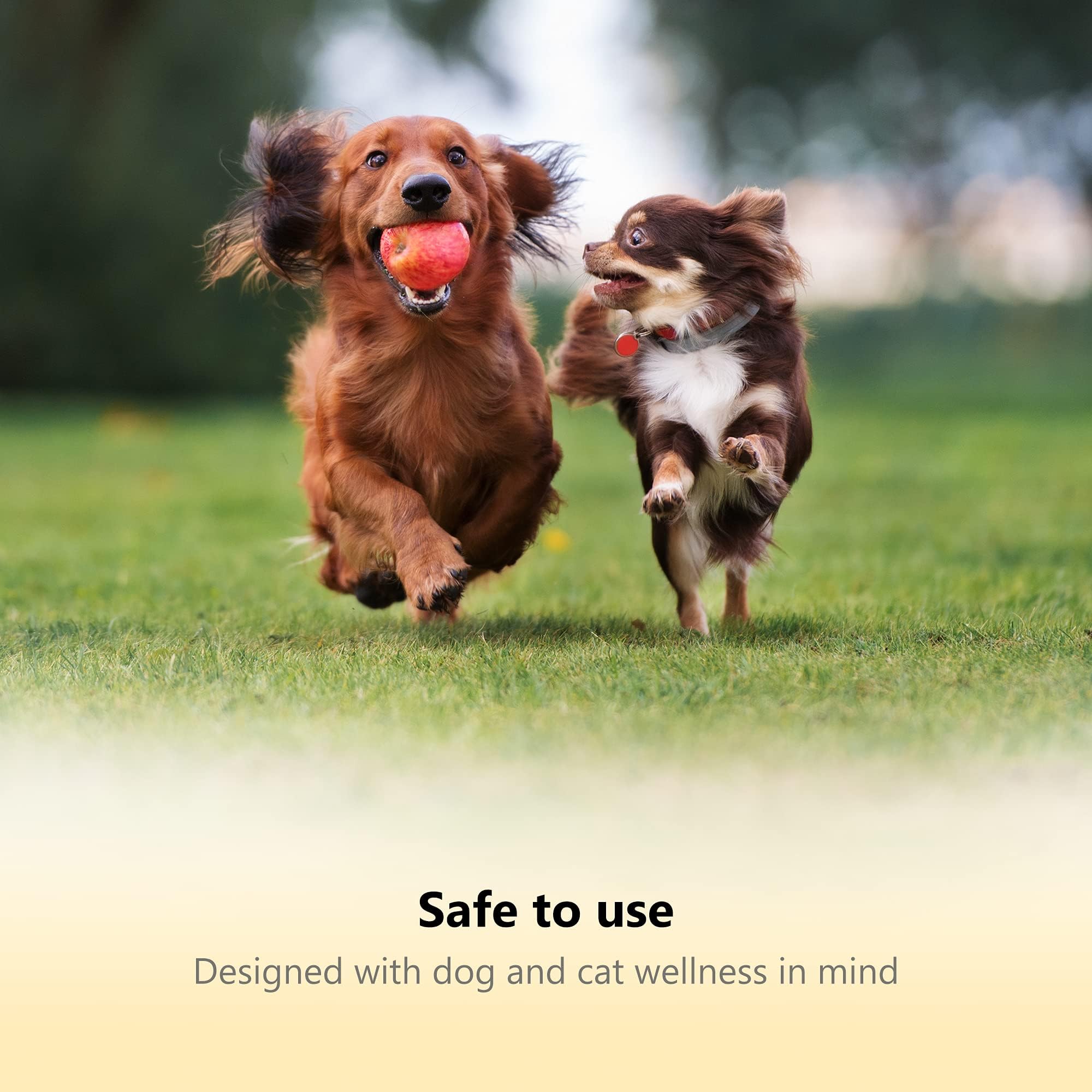 Thunderpaws vet and groomer approved tool for at-home care