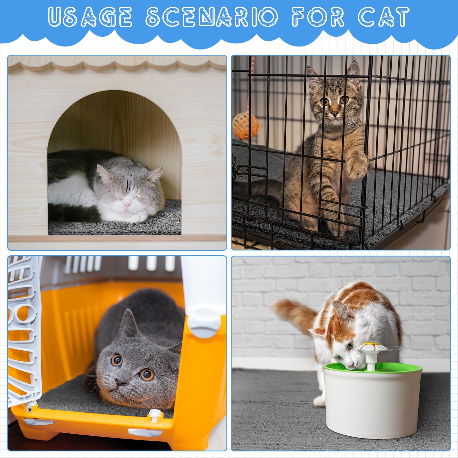 Thyle 18x24 pad inside crate setup offers clean, comfortable training.