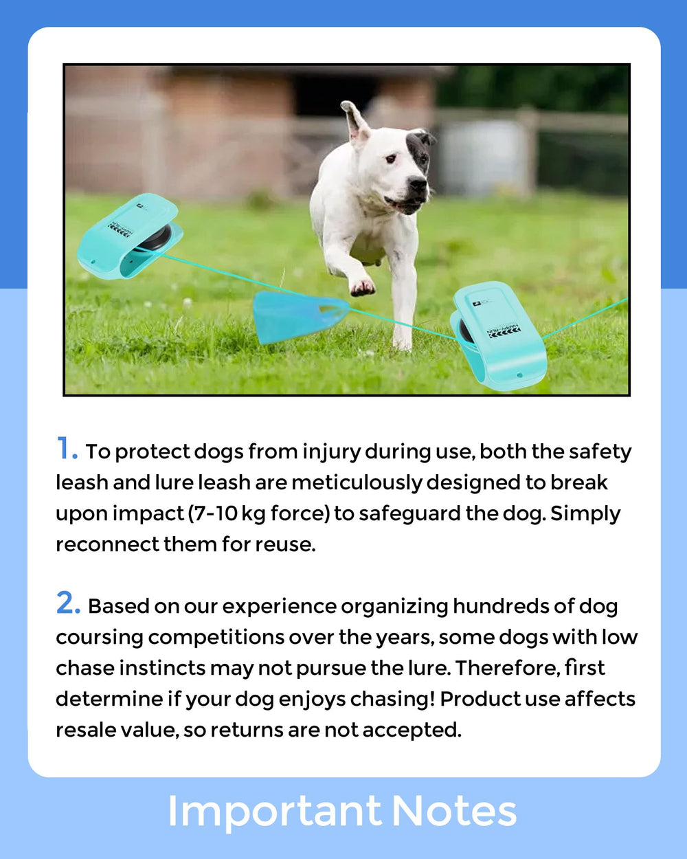 TianfuSpanda multi-dog play lure setup invites friends to join.