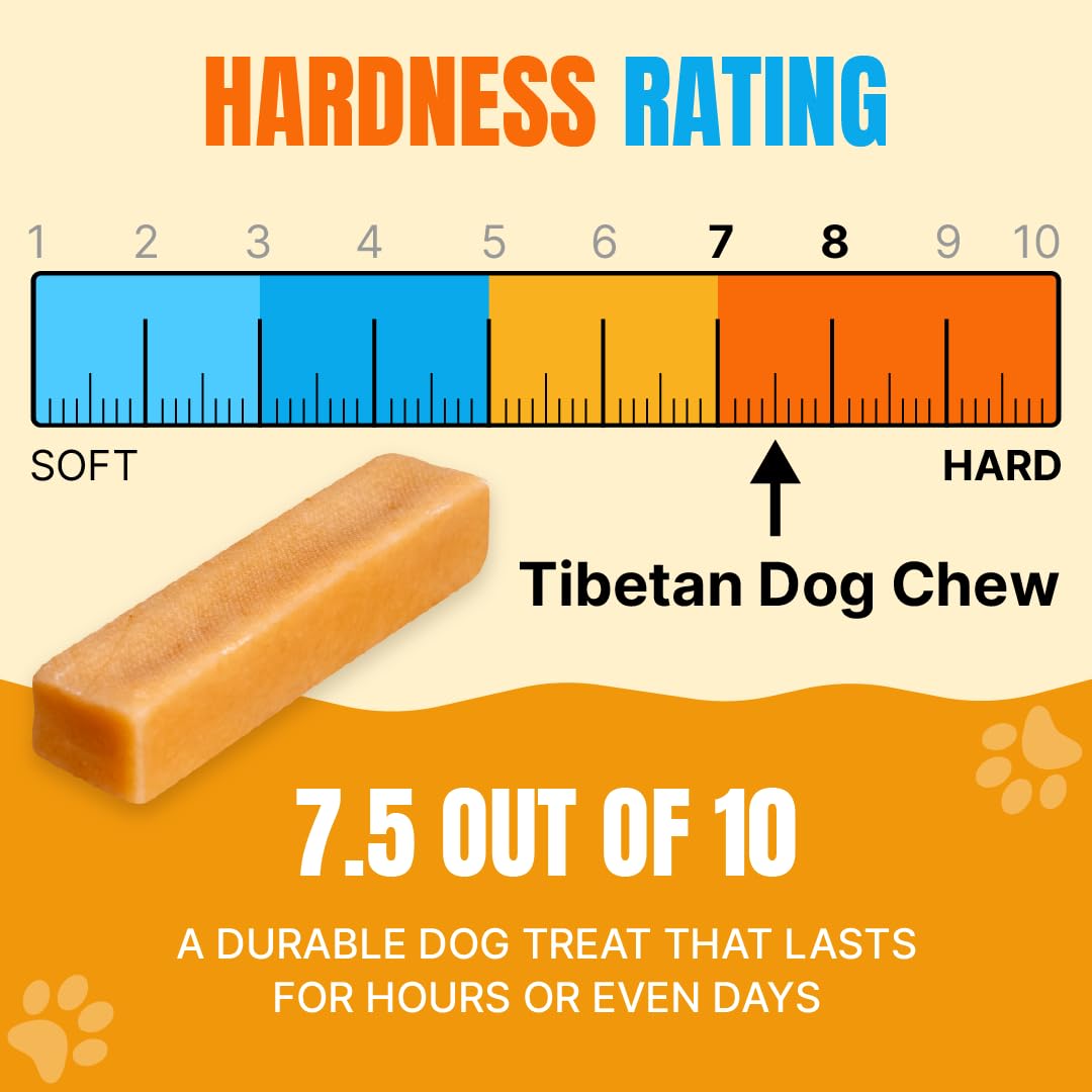 Tibetan Dog Chew yak cheese stick large bite demonstrates sturdy chews for tough chewers.