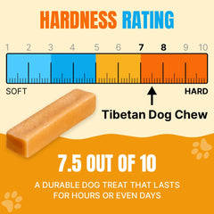 Tibetan Dog Chew yak cheese stick large bite demonstrates sturdy chews for tough chewers.