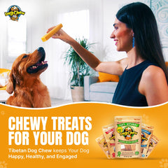 Tibetan Dog Chew Yak Cheese Sticks for aggressive chewers with durable crunch
