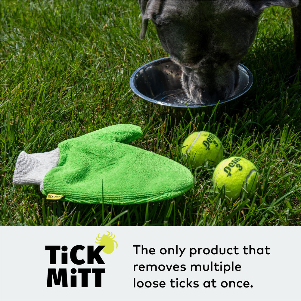 TiCK MiTT compact portable tick removal tool shown outdoors for on-the-go prevention.