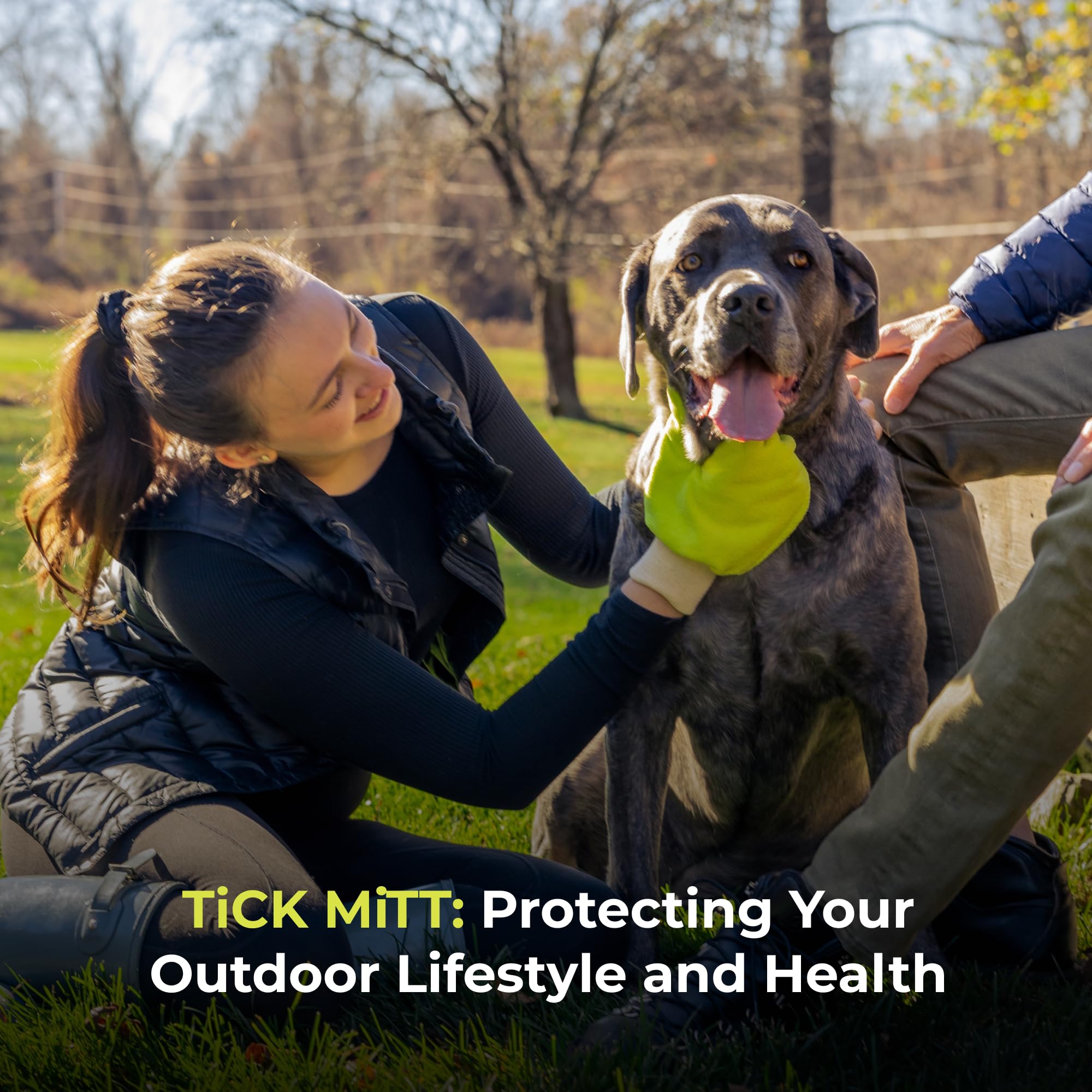 TiCK MiTT yellow glove on small dog shows gentle tick removal