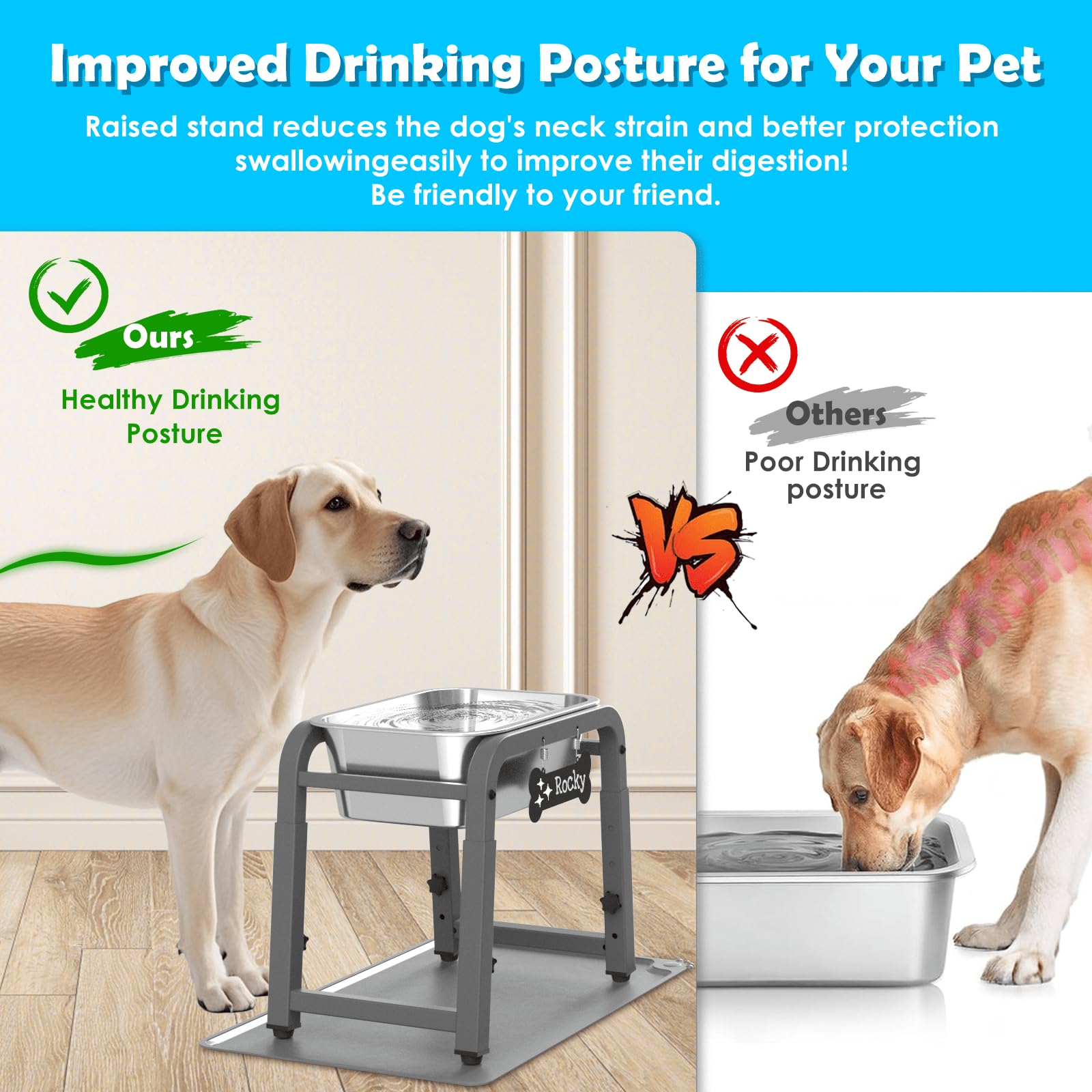 TIDANT 1.2 gallon capacity water bowl helping busy households stay hydrated