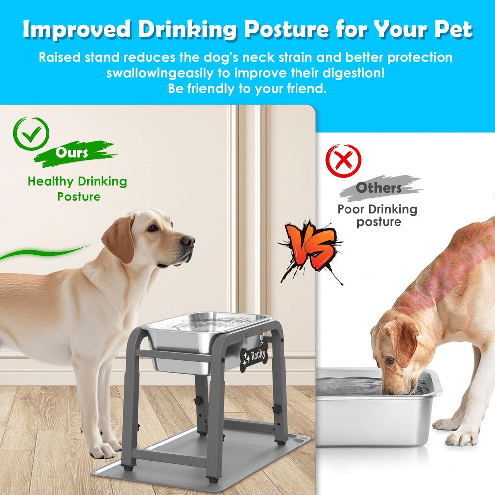 TIDANT 1.2 gallon capacity water bowl helping busy households stay hydrated