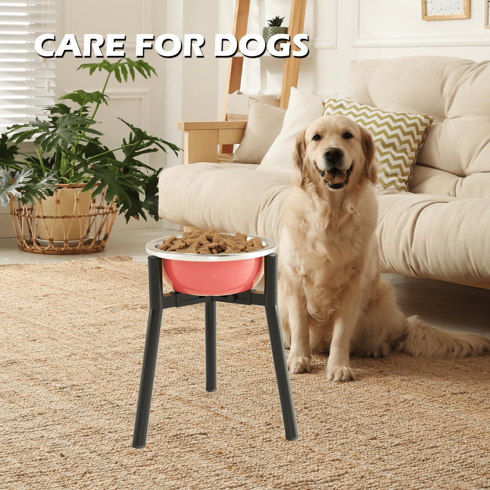 TIDANT easy-assembly dog bowl stand saves setup time