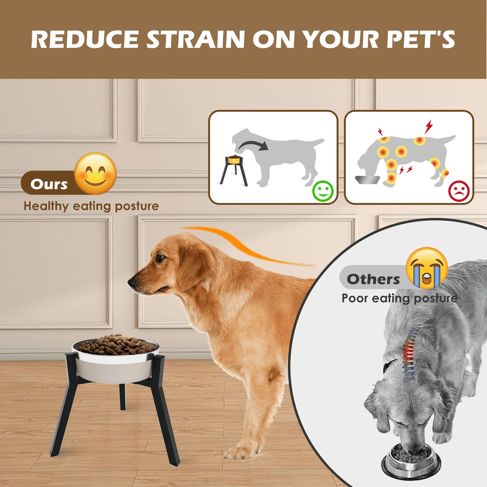 TIDANT dog bowl stand slanted feet—prevents tipping during meals.