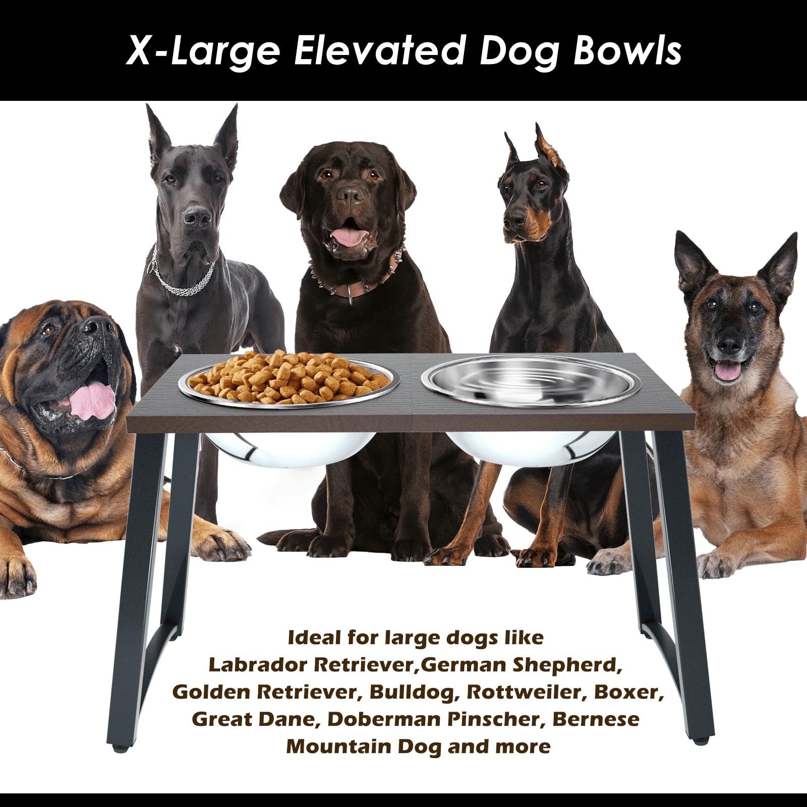 Tidant two x-large stainless steel bowls close-up shows durable, rust-proof bowls