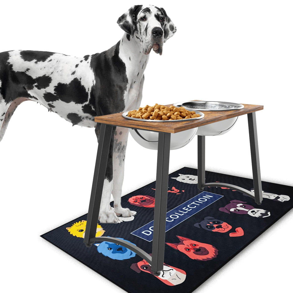 TIDANT elevated dog bowls on the stand close-up, showcasing rust-free stainless steel durability.