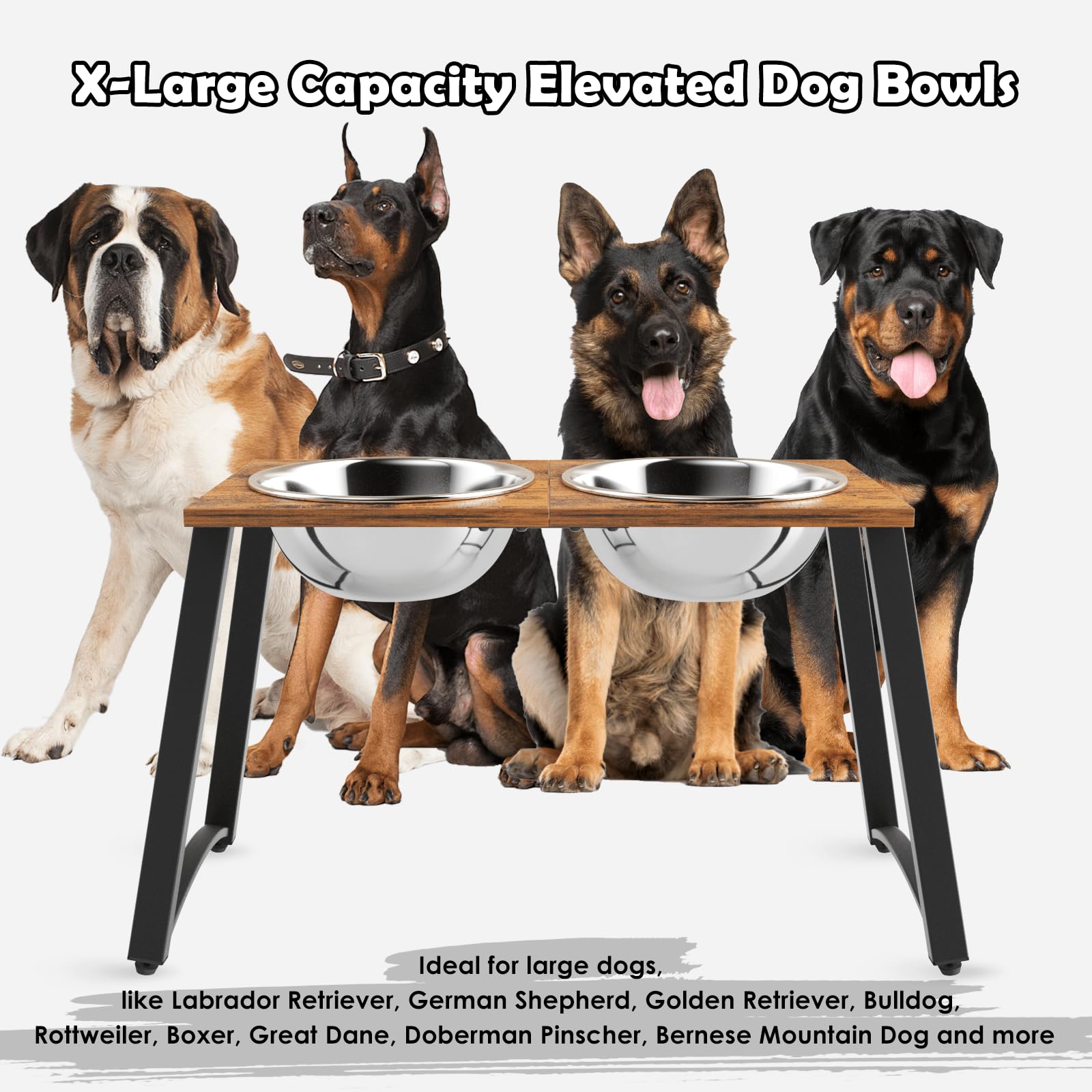 TIDANT elevated dog bowls stand at multiple height settings for comfortable feeding posture.