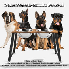 TIDANT elevated dog bowls stand at multiple height settings for comfortable feeding posture.