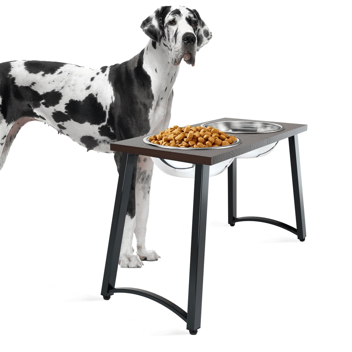 Tidant elevated dog bowls stand side view highlights height for easy large-dog meals