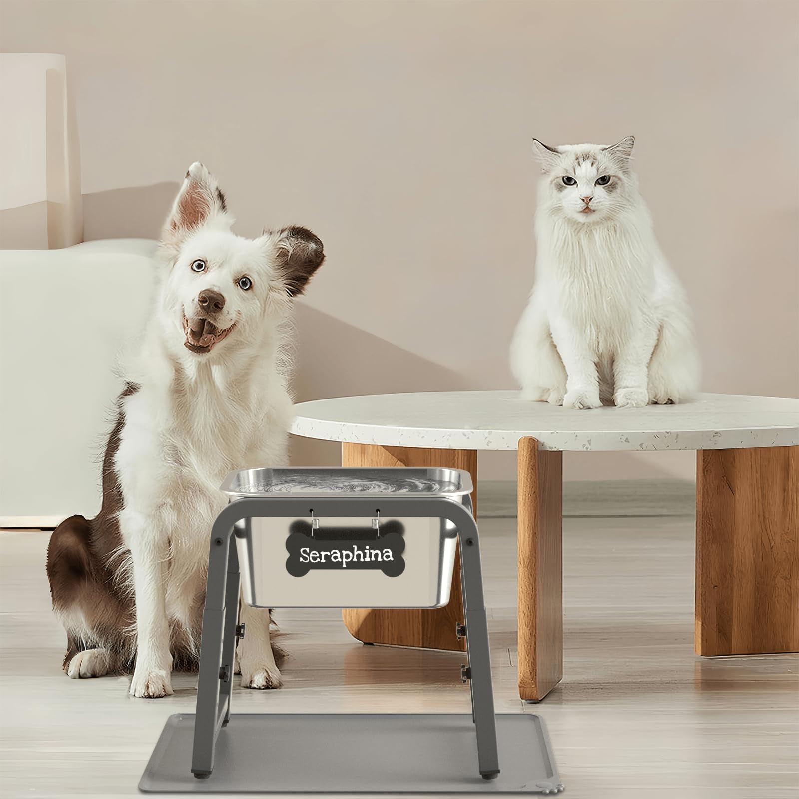 TIDANT elevated bowl suited for multi-dog households