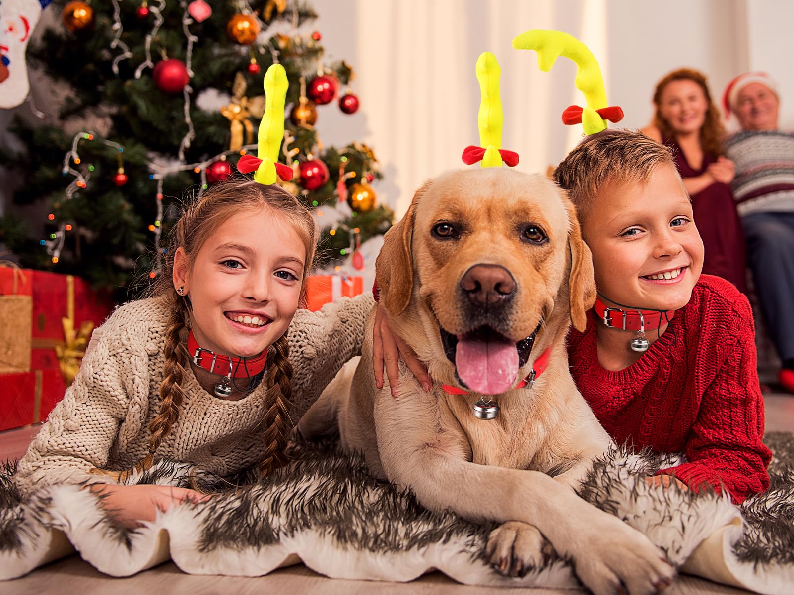 TideTaho Christmas parade dog headband – eye-catching festive look