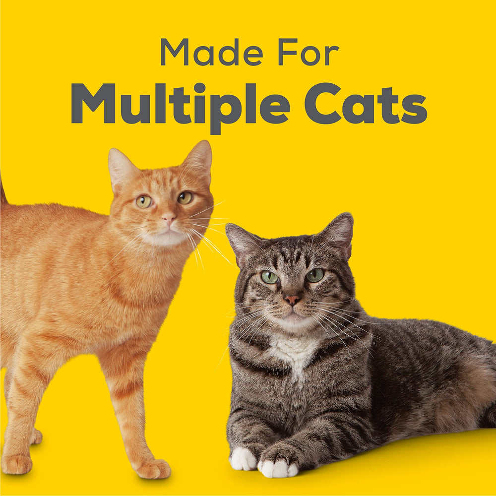 Tidy Cats Breeze multi-cat use scene shows versatile litter setup