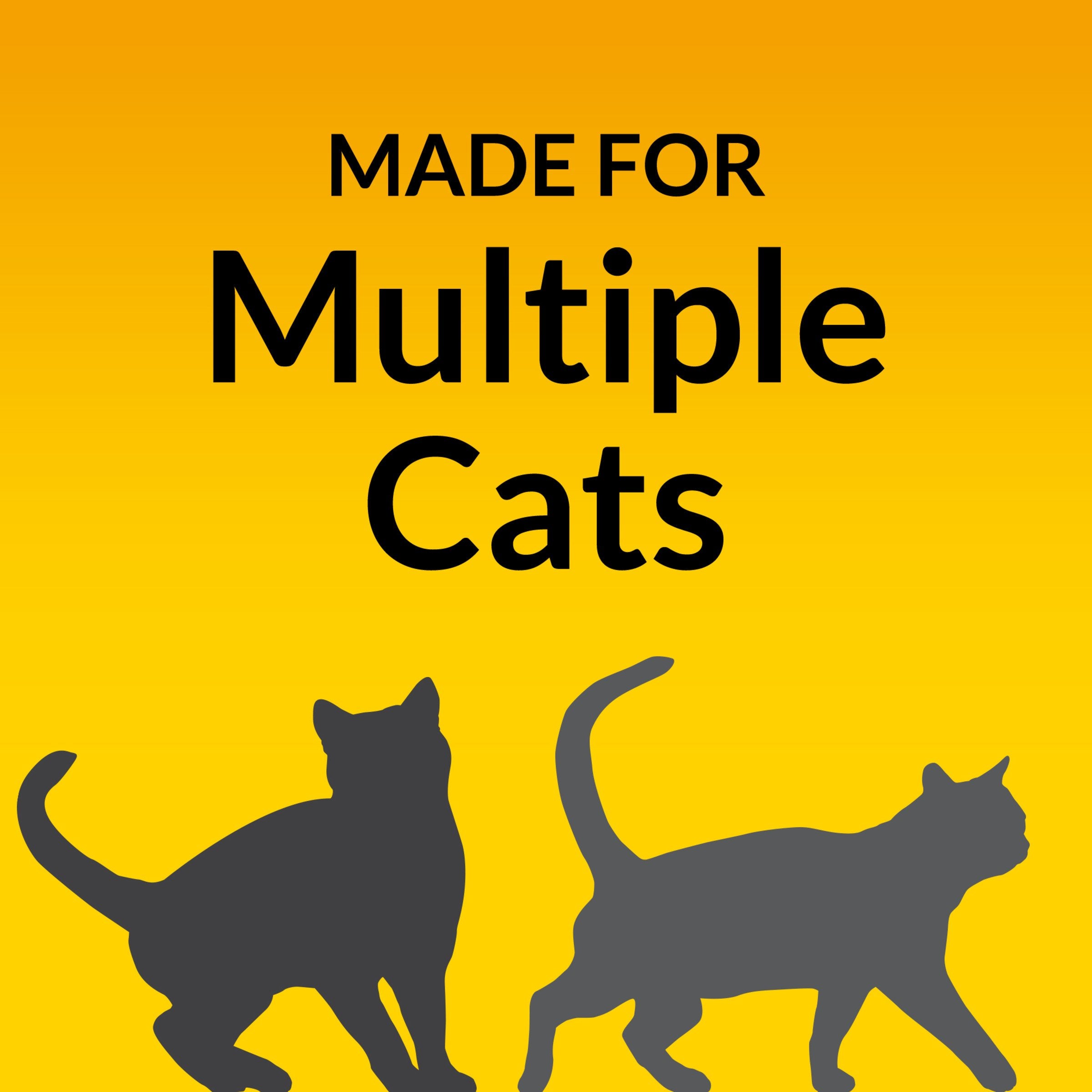 Purina Tidy Cats multi-cat litter area stays fresh and organized