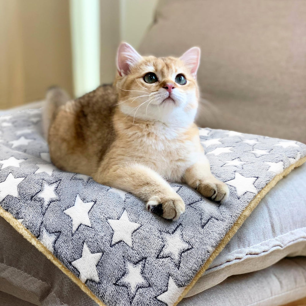 Tierecare cat blanket on car seat shows versatile comfort anywhere.