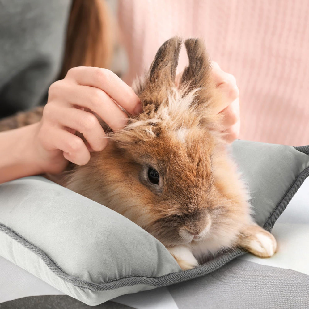 Tierecare Rabbit Bed being machine-washed demonstrates easy cleanup.
