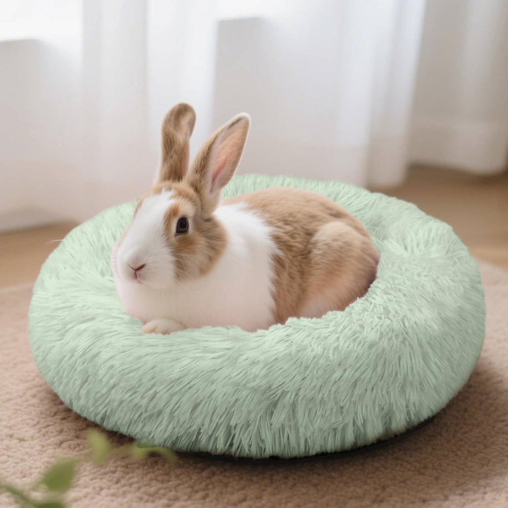 Tierecare Bunny Bed dimensions 15.7 x 15.7 x 4 inches fit small pets.