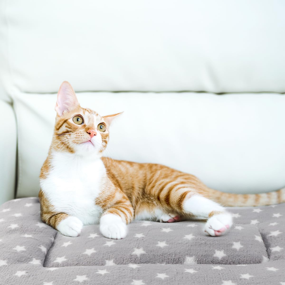 Tierecare cat blanket used as car-seat pad for a calmer ride