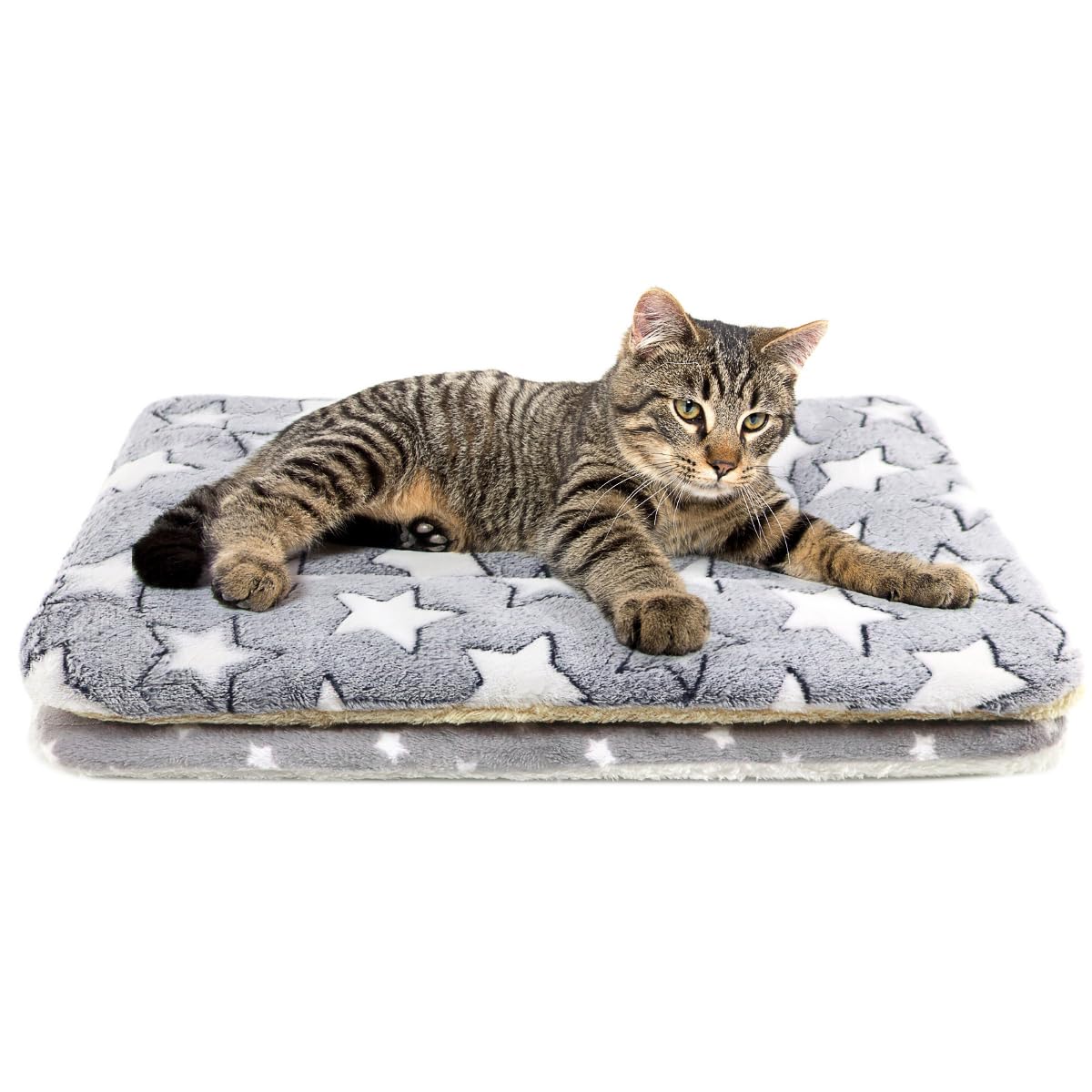 Tierecare cat blanket with soft texture provides cozy lounging for indoor cats