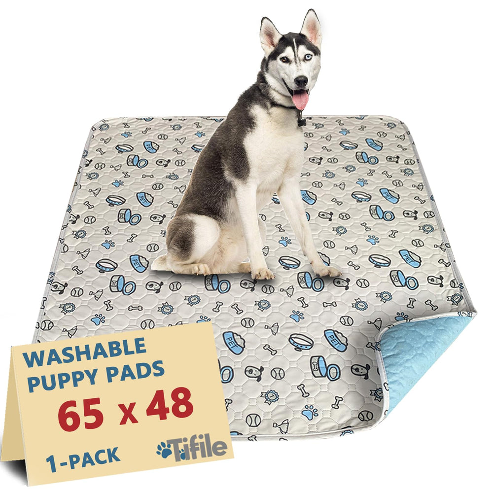 TIFILE washable pee pad with bone print laid flat for crate training area.