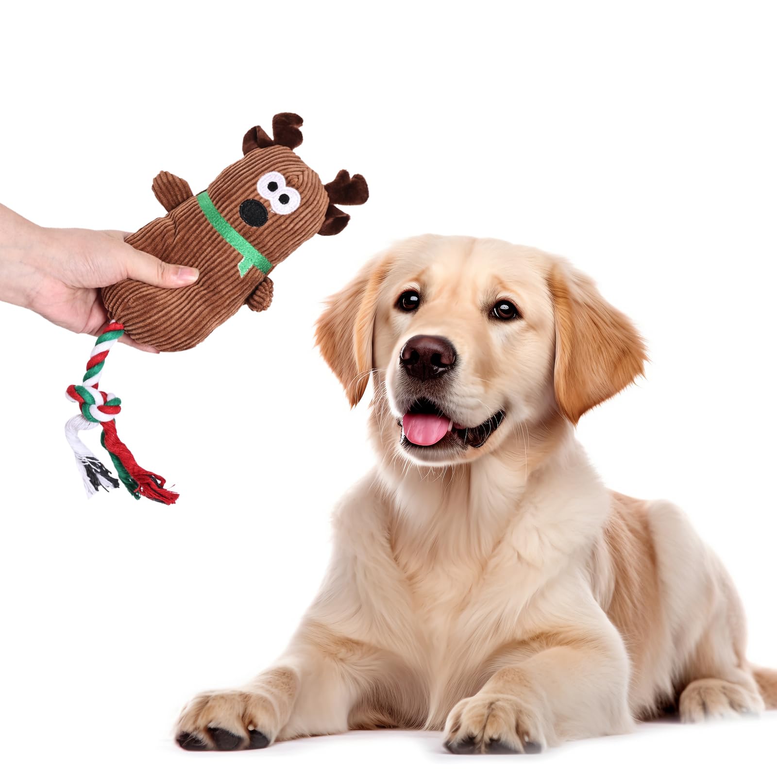 tiggell Santa toy in small dog mouth promotes easy toss and chew