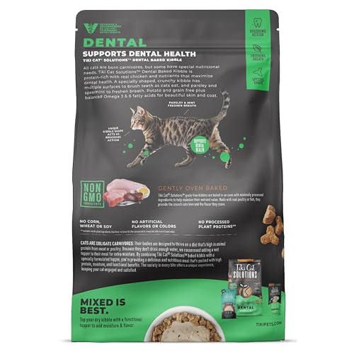 Tiki Cat Solutions dental kibble crunch texture highlights chewing action for clean teeth.