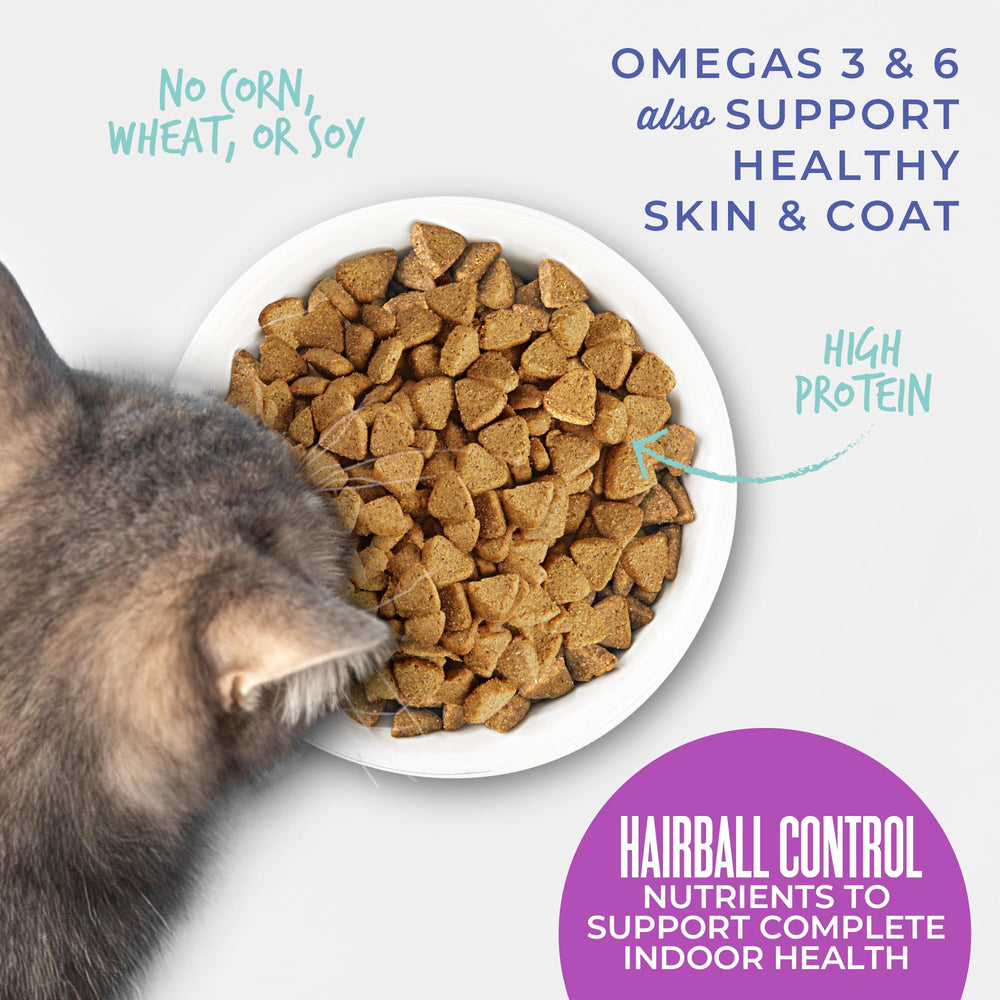 TIKI PETS Tiki Cat Born Carnivore dry kibble with omega fatty acids promotes skin and coat.